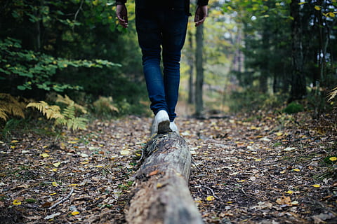 man walking on forest, person walking in forest during daytime HD wallpaper