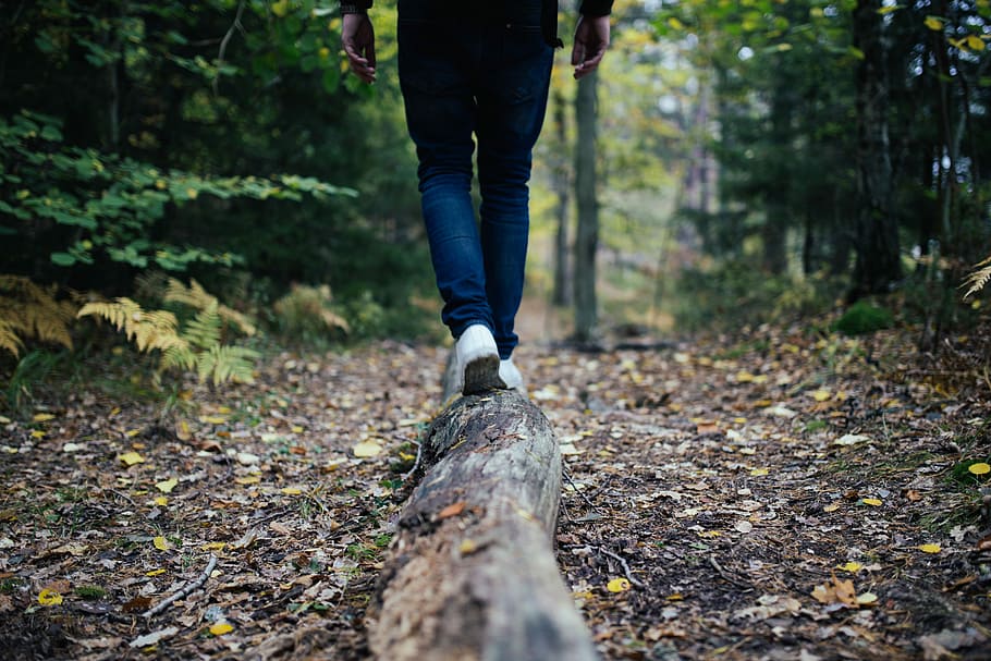 man walking on forest, person walking in forest during daytime, HD wallpaper