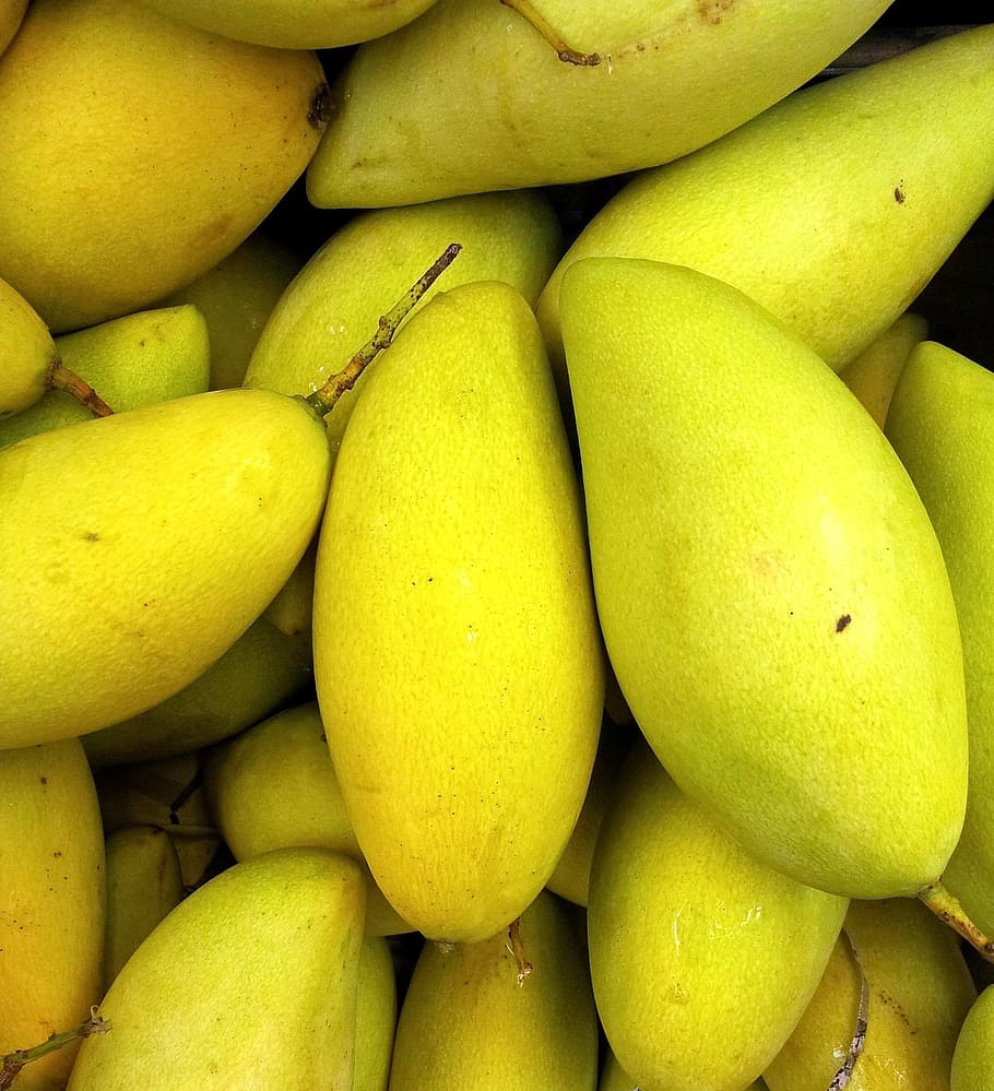 closeup photography of green mangoes, fruit, fresh, healthy, sweet, HD wallpaper