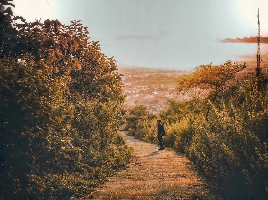 Is it worth it?, man standing on road in golden hour background HD wallpaper