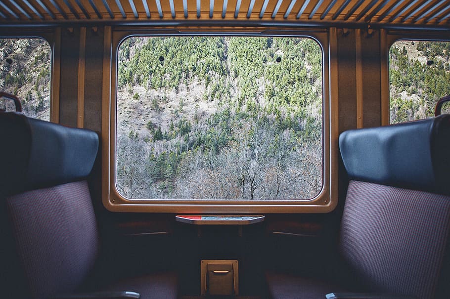 trees on mountain, vintage train interior, window, forest, woodland HD wallpaper