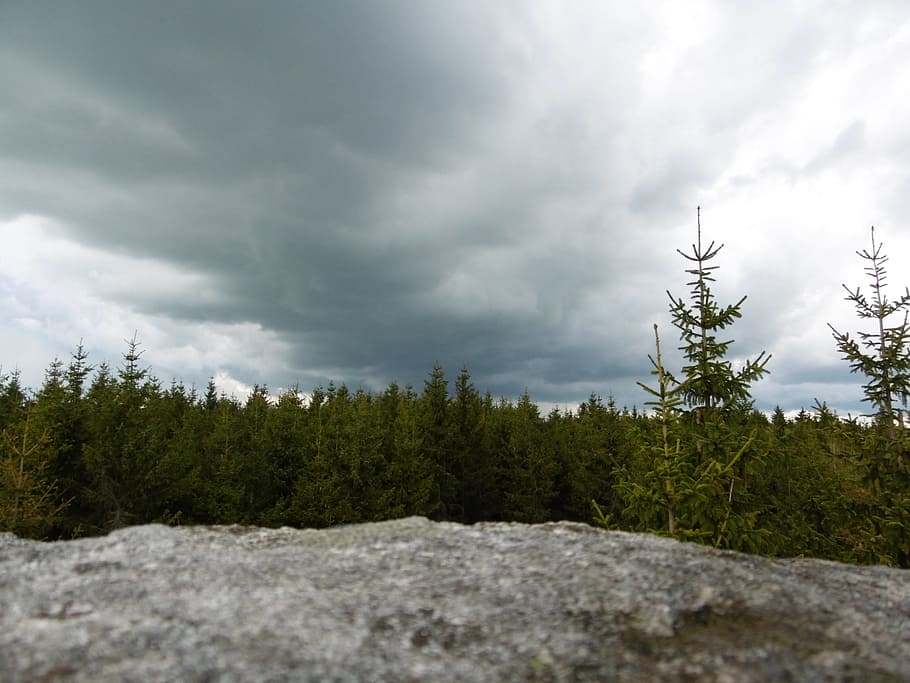 forest, stoves, nature, rock, landscape, stony, clouds, trees HD wallpaper