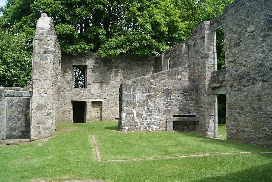 Trees, Grass, Ruins, Stone, Nature, green, outdoors, concrete HD wallpaper
