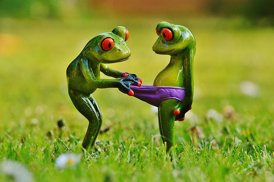 two green frog figurines, Frogs, Curious, Surprise, Fun, funny, HD wallpaper