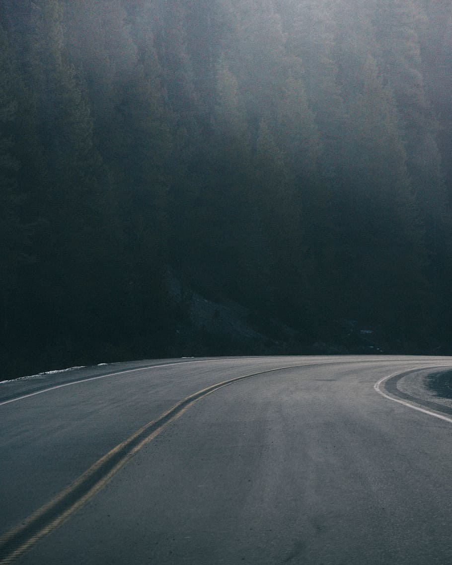 gray street road during daytime, curved gray concrete road with pine trees beside HD wallpaper