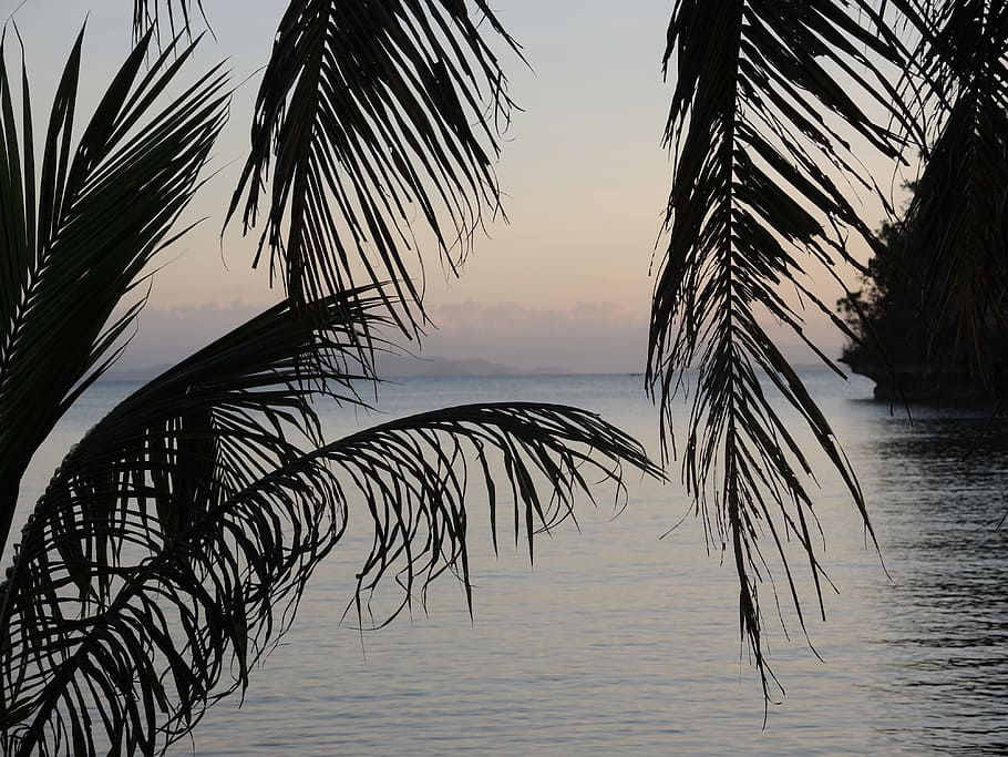 ocean, paradise, summer, sunset, relax, sea, water, sky, tree HD wallpaper
