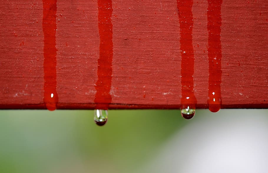 drop, rain, rain drops, water, water drop, water drops, transparent HD wallpaper