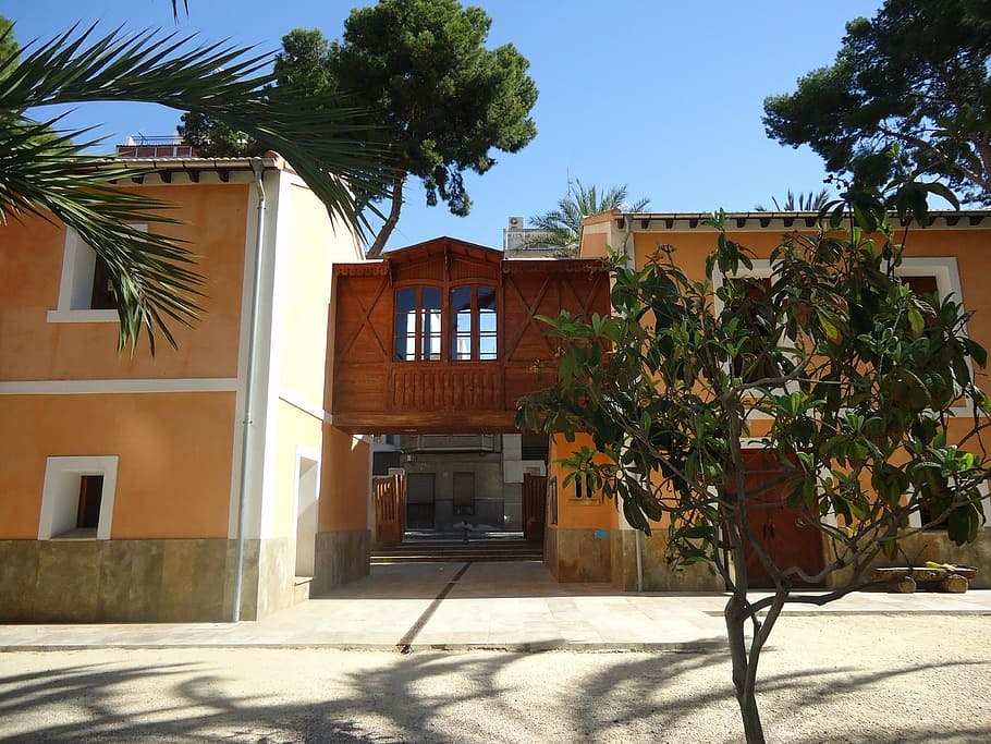 elche, field, museum, palms, palma, palm tree, green, sun, built structure HD wallpaper