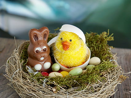 bird and rabbit toy on nest, easter nest, easter eggs, happy easter HD wallpaper