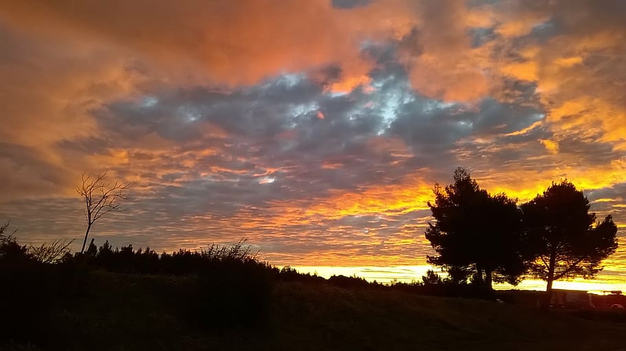 morning, sky, cloudy, cloud - sky, sunset, tree, silhouette HD wallpaper