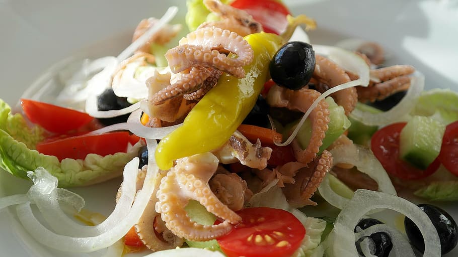 vegetables with squid, fish, octopus, calamari, salad, cucumber HD wallpaper