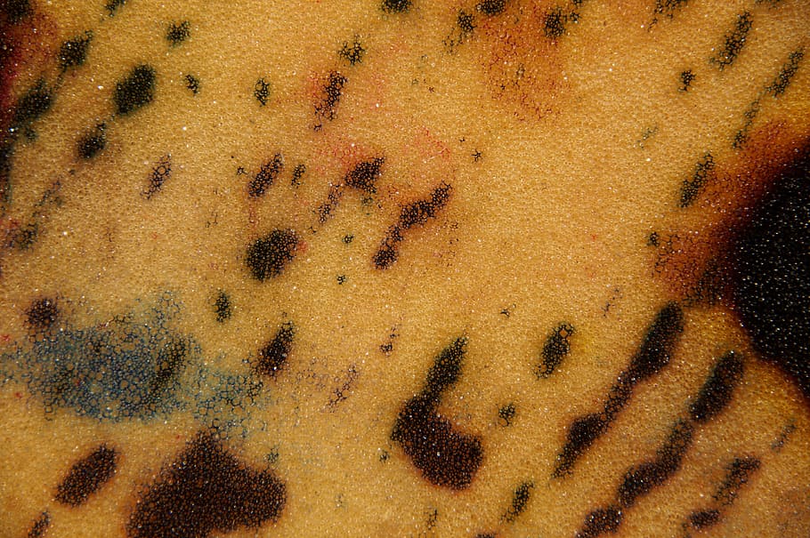background, close, sponge, structure, texture, yellow, dab HD wallpaper