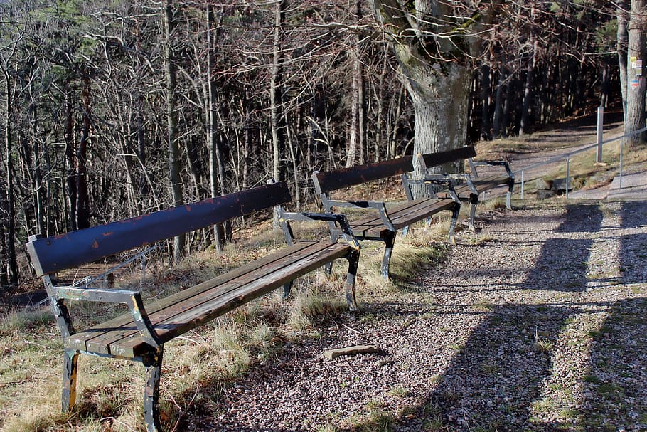 benches, shadow, park, rest, out, wooden bench, sun, recovery