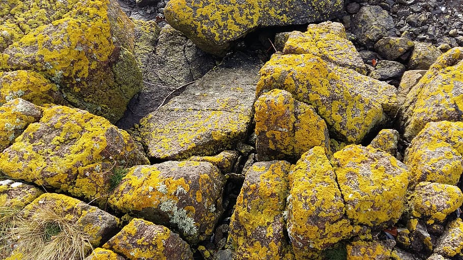 Full stone. Yellow Rock.