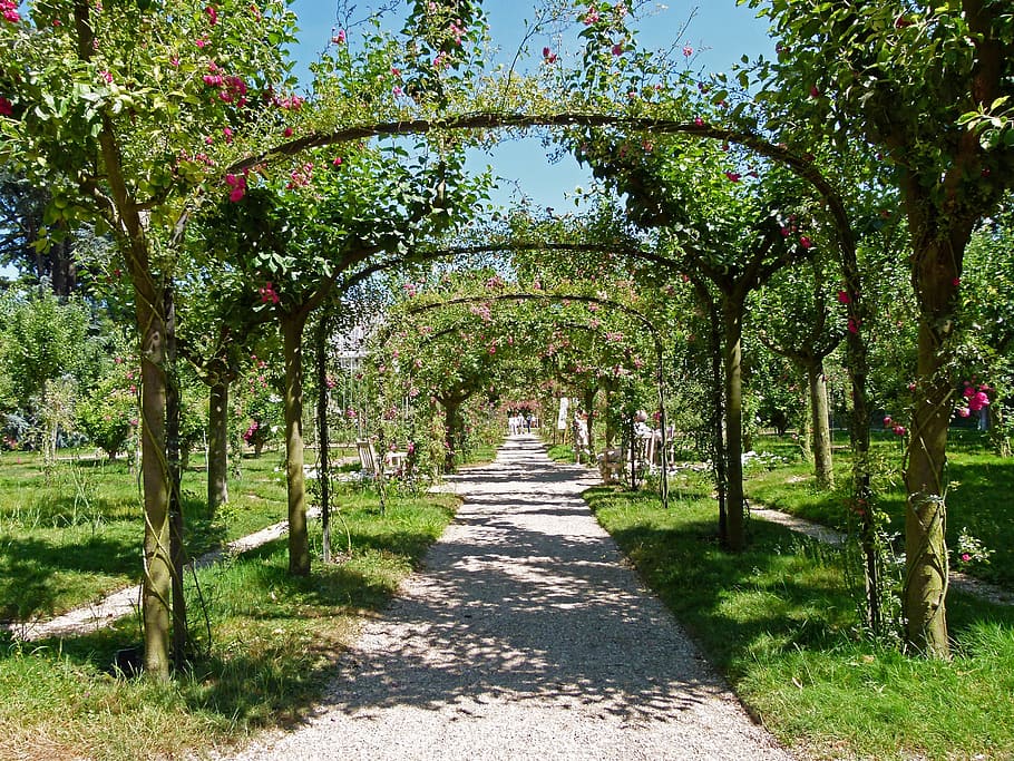 france, path, walkway, trees, trellis, summer, spring, grass HD wallpaper