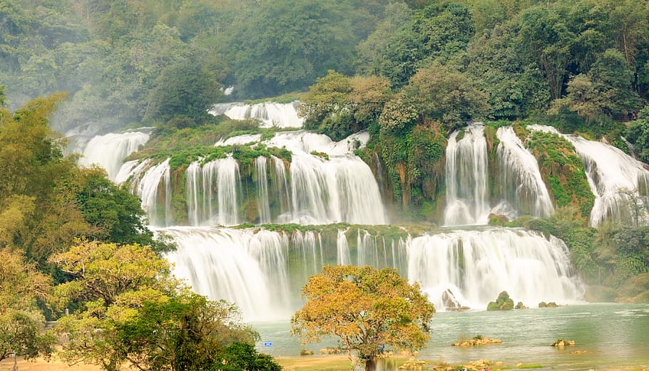 waterfall, nature, cascade, stream, tree, scenics - nature HD wallpaper