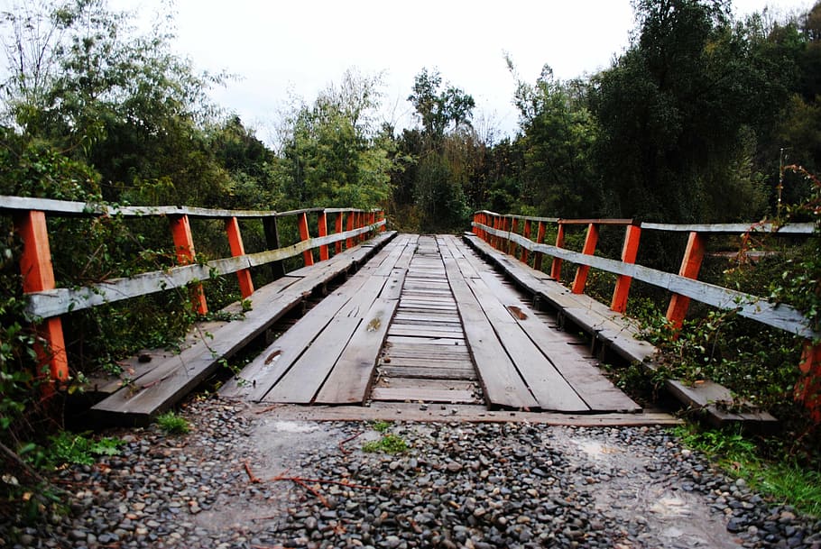 river, landscape, water, bridge, tree, plant, direction, nature HD wallpaper