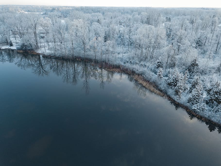 trees covered by snow near body of water, ice, lake, reflection HD wallpaper