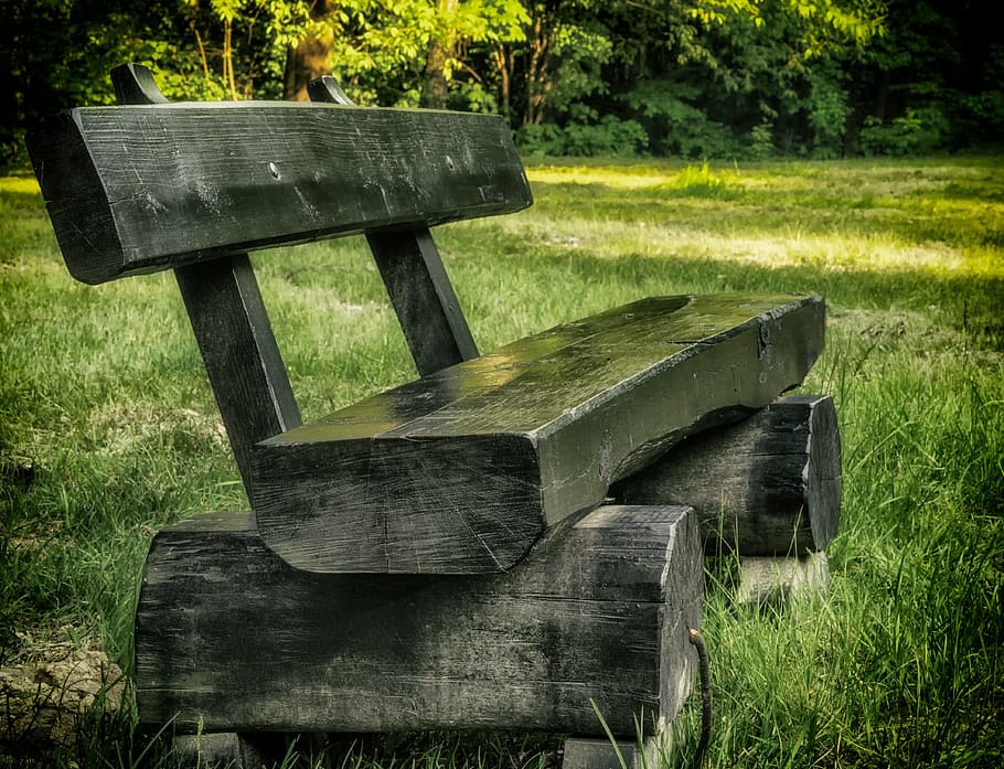 park, bench, kraków, plant, grass, wood - material, land, field HD wallpaper