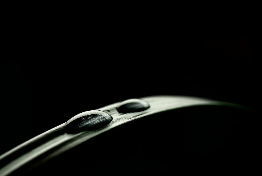 water droplet on leaf inside dark room, drip, two, pair, drop of water HD wallpaper