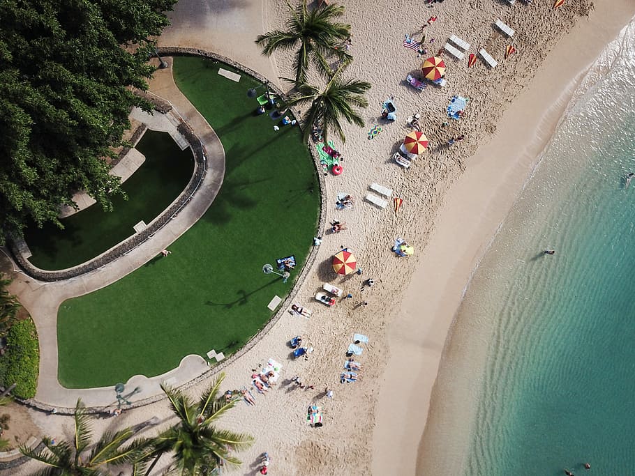 aerial photo of people near body of water and golf course during daytime, aerial photo of group of people on beach HD wallpaper