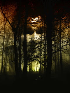 Abraham Lincoln tree optical illusion, forest, face, fog, horror HD wallpaper