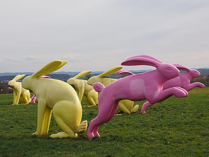 yellow and pink rabbit sculpture lot on grass field, rabbit couples HD wallpaper