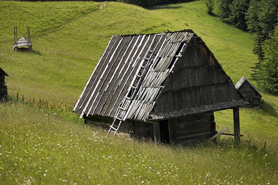 gray nipa hut surrounded by green grass, romania, meadow, chalets HD wallpaper