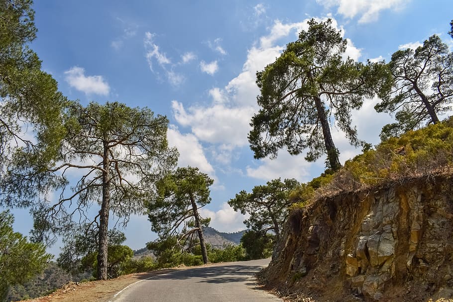 road, trees, sky, clouds, nature, landscape, forest, countryside HD wallpaper