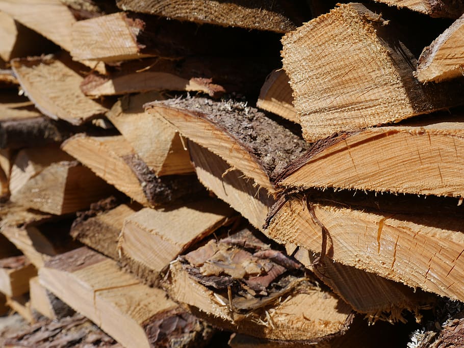 firewood, tree, tree structure, the sawed down, macro photography HD wallpaper
