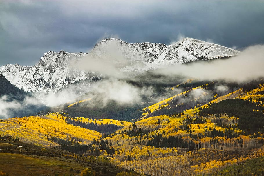 photo of mountains covered with snow and fogs, yellow trees field near mountains during daytime HD wallpaper