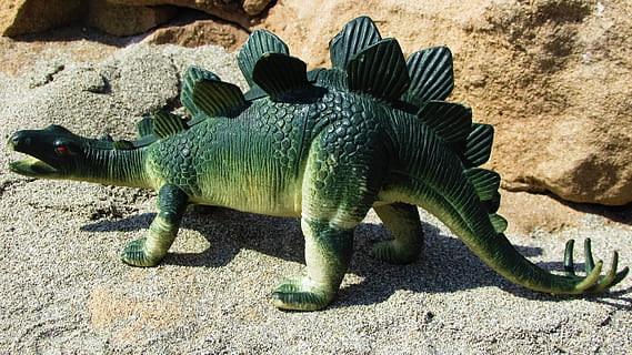 Stegosaurus, Dinosaur, Lizard, extinction, jurassic, reptile HD wallpaper