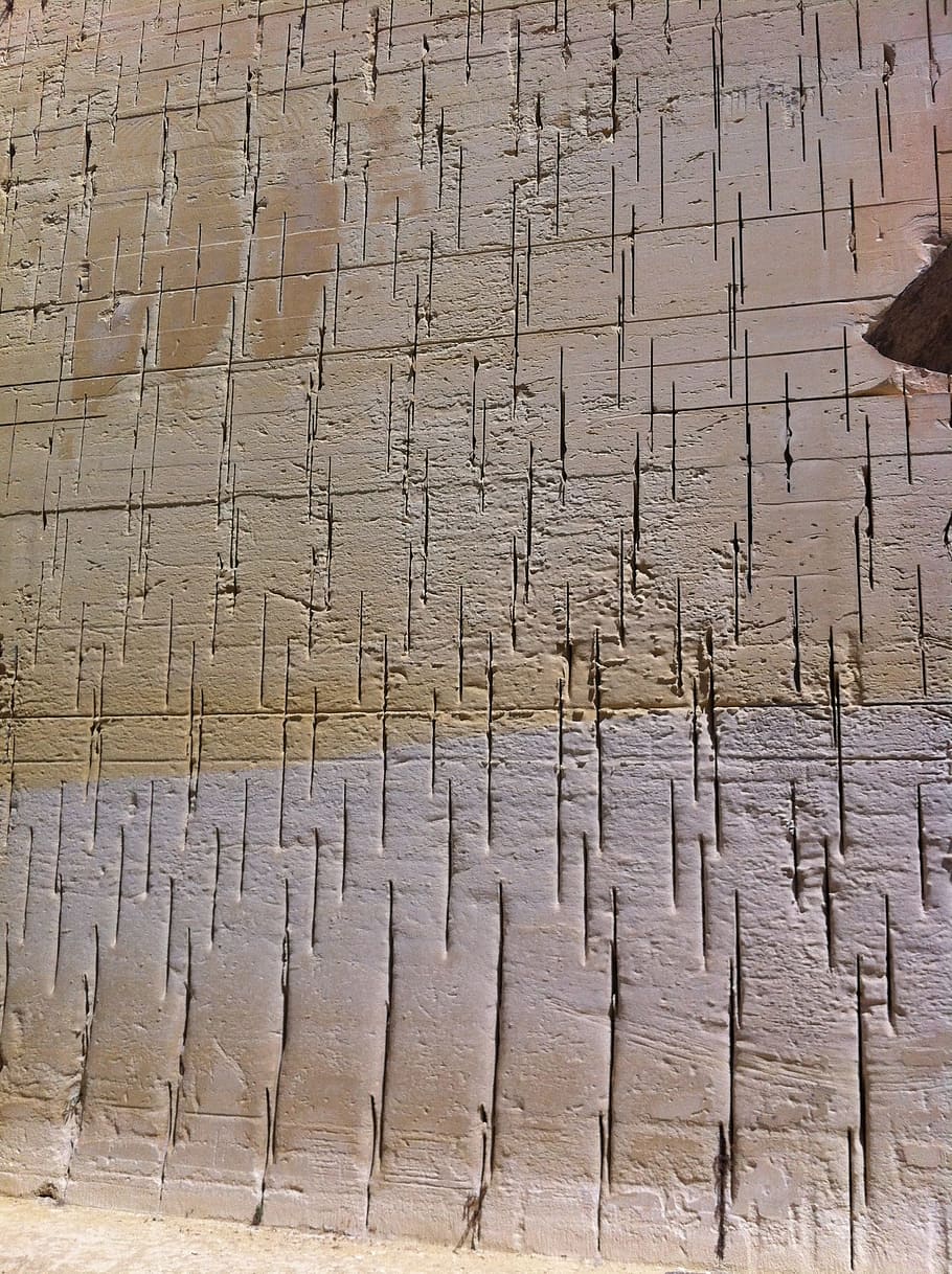 Structure, Wall, Background, wood - material, textured, timber HD wallpaper