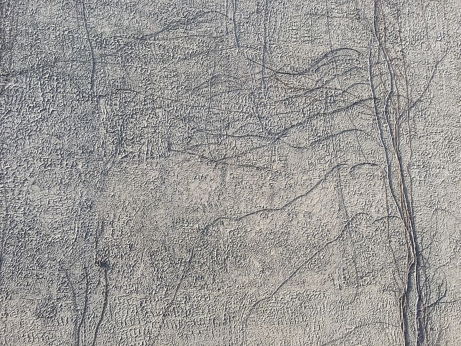 gray surface, Wall, Root, Vine, Texture, Background, white HD wallpaper