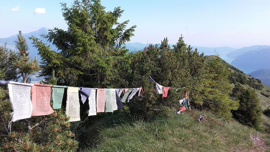 mountain, tibet, landscape, plant, tree, hanging, clothesline HD wallpaper