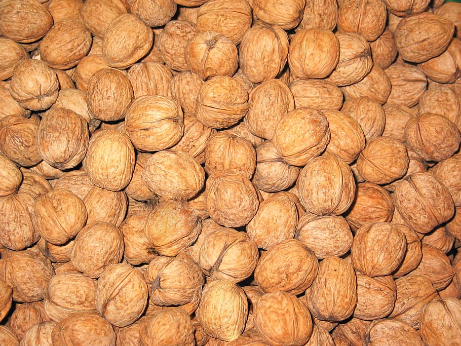 walnuts, healthy, food, nutrition, eat, brown, cake, bake, christmas, HD wallpaper