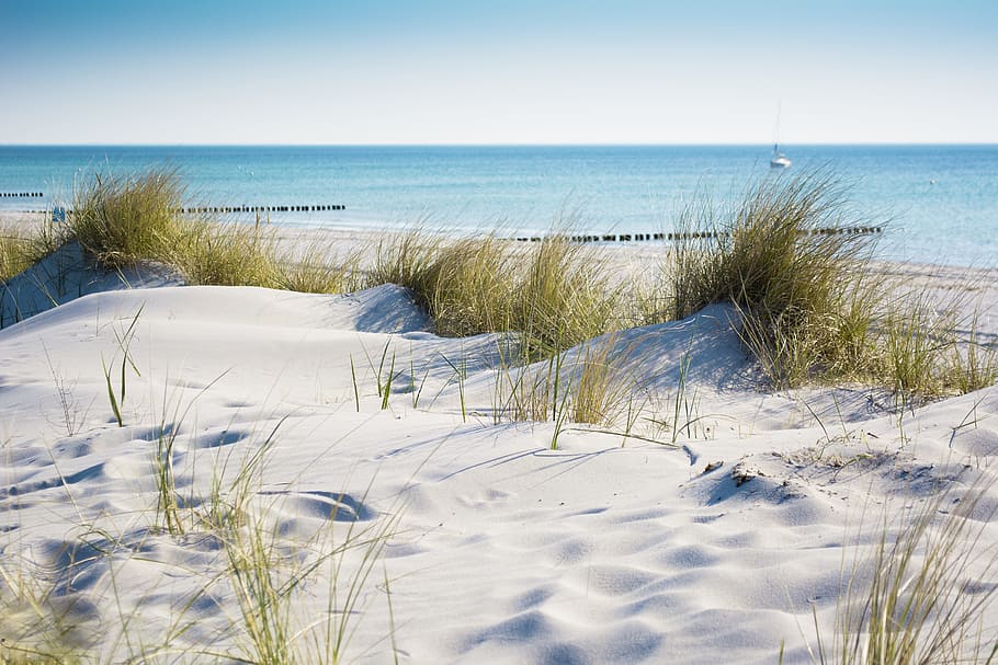 green grass near ocean, nature, waters, winter, sky, landscape HD wallpaper