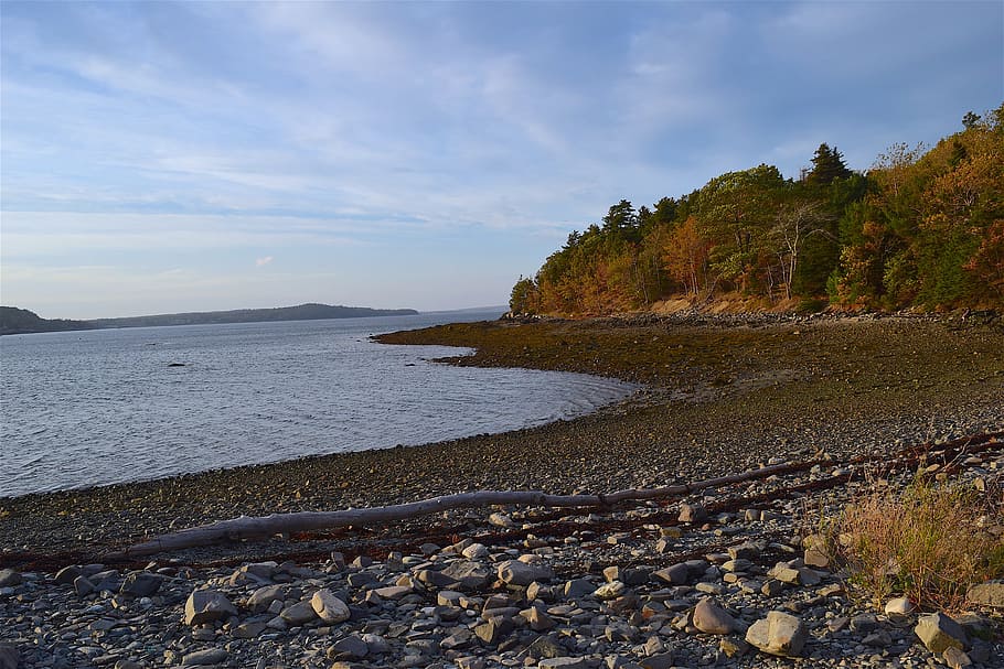 sunset, shore, rocks, ocean, pine trees, maine, nature, water HD wallpaper