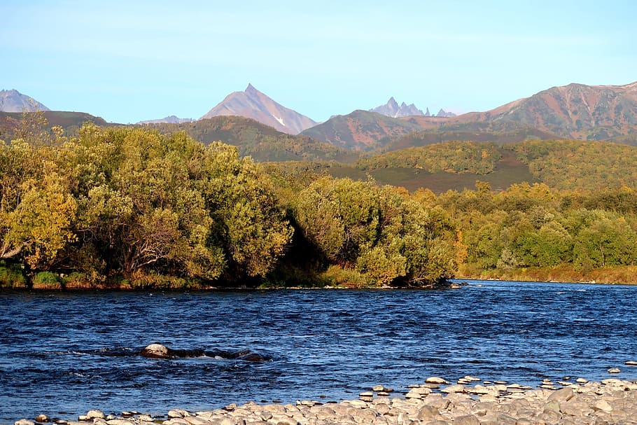 autumn, river, mountains, forest, fall colors, landscape, nature HD wallpaper