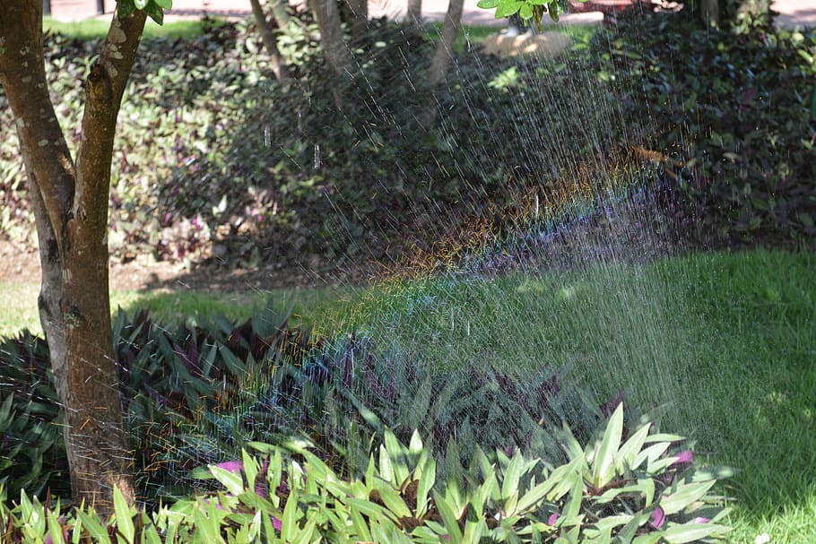 Rainbow, Water, Nature, day, outdoors, no people, plant, grass HD wallpaper