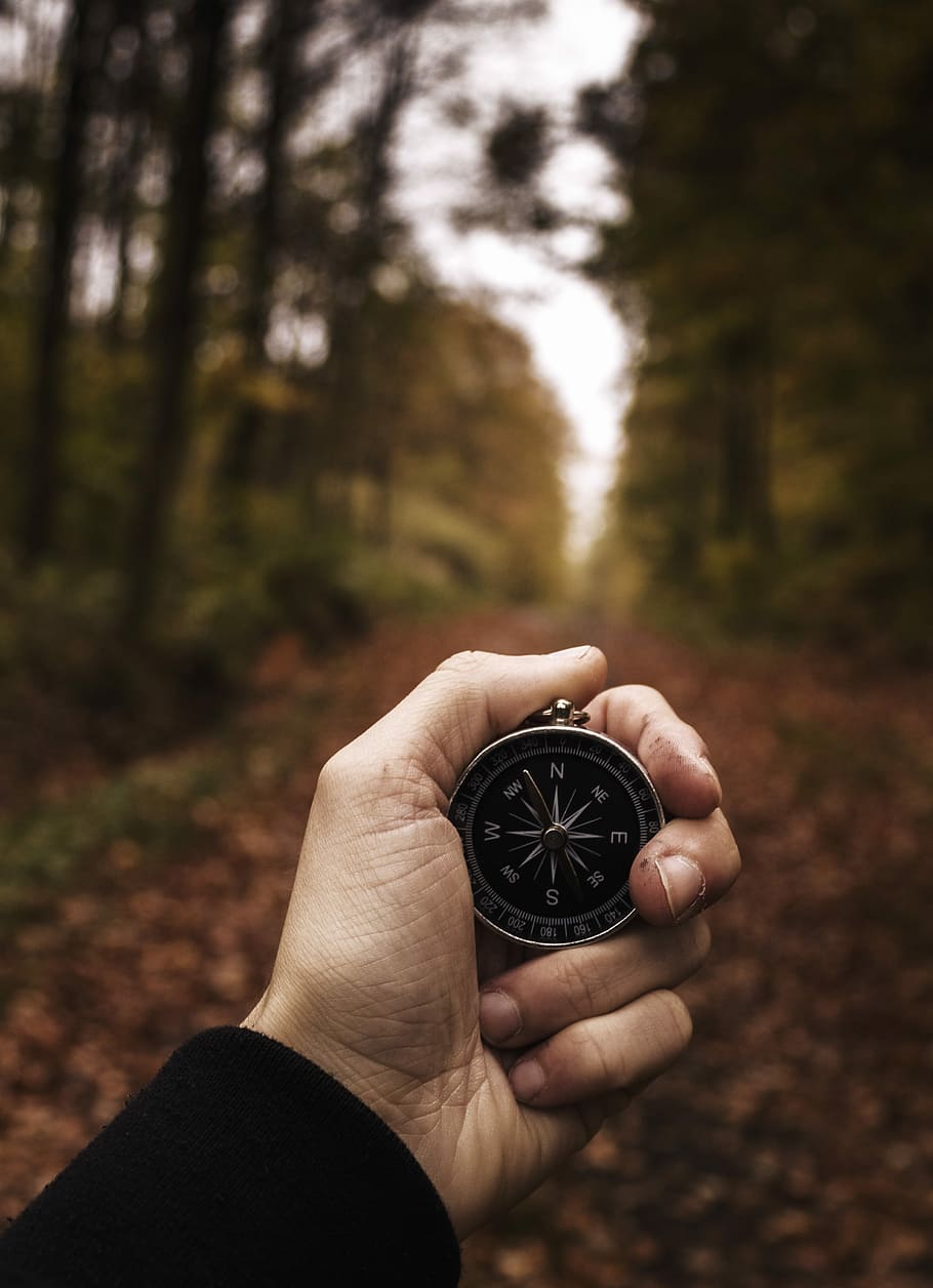 person holding round gray compass, hand, forest, tree, wood HD wallpaper