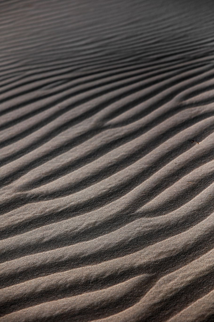 HD wallpaper: brown sand, ripple, dune, beach, desert, full frame ...