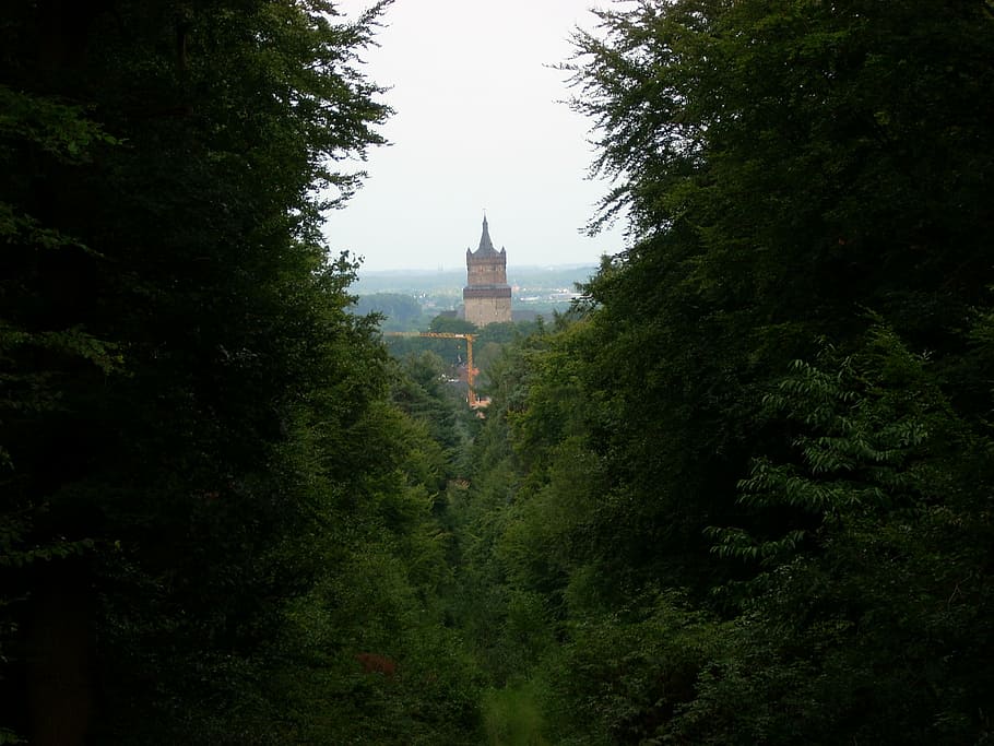 forest, castle, tower, landscape, green, tree, plant, architecture HD wallpaper