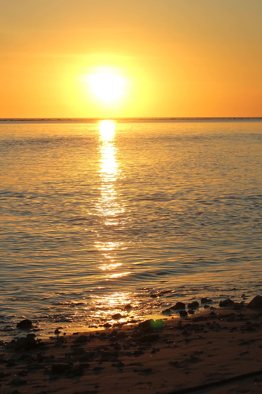 sun, sunset, reflection, sea, sky, water, beauty in nature HD wallpaper