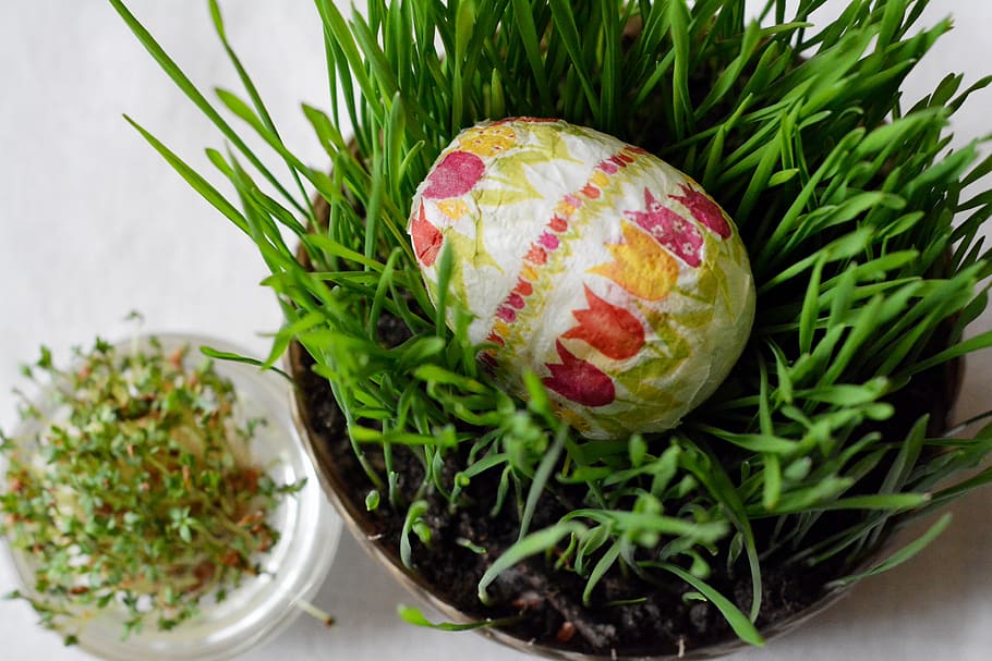 easter holidays, eggs, easter egg, decoration, cuckooflower HD wallpaper