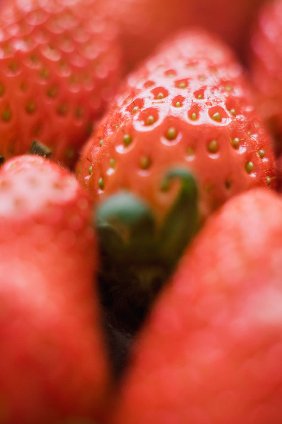 closeup photo of strawberry, selective macro photography of strawberry HD wallpaper