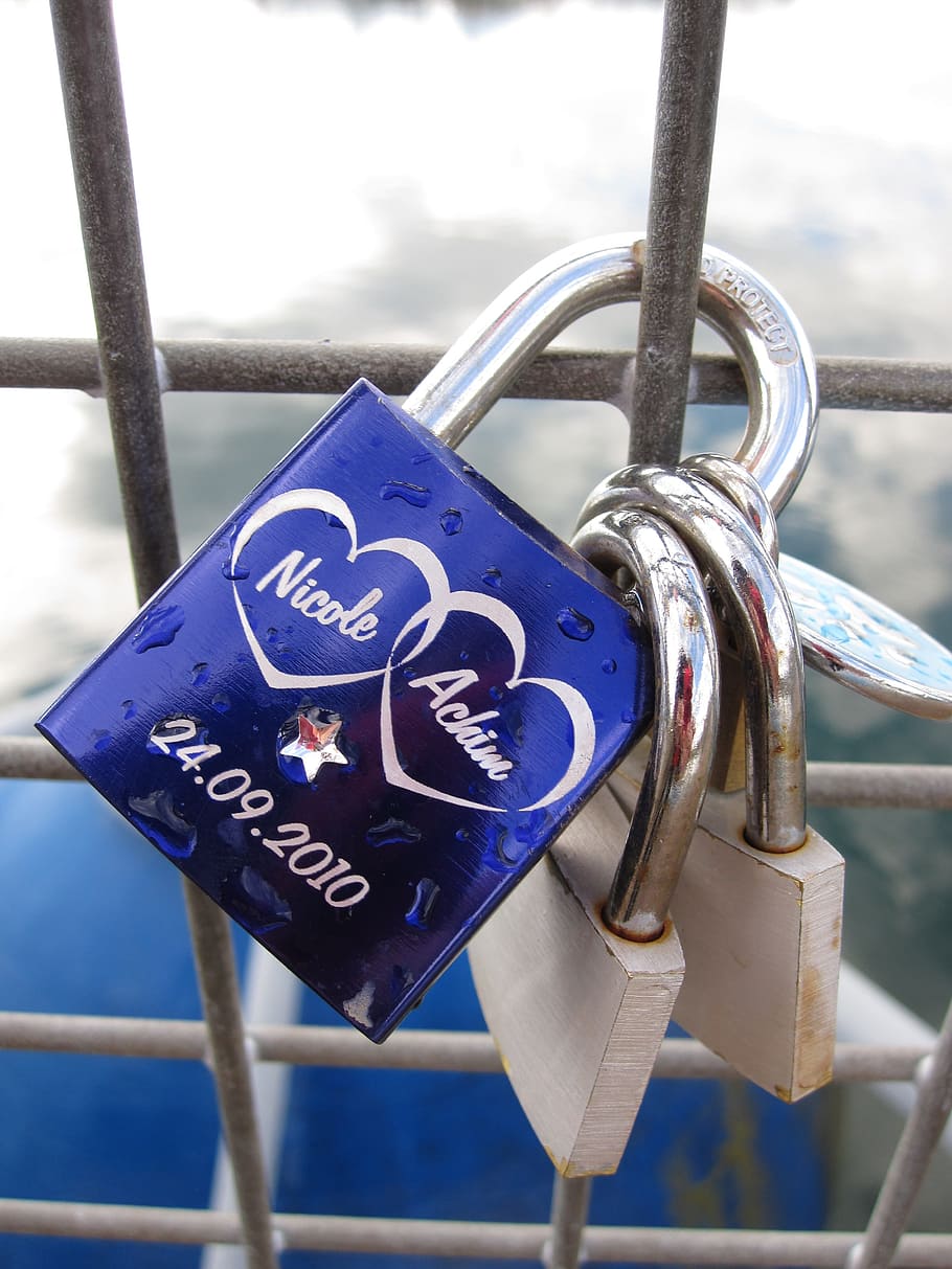 three padlocks on cage, snap lock, love, symbol, connectedness HD wallpaper
