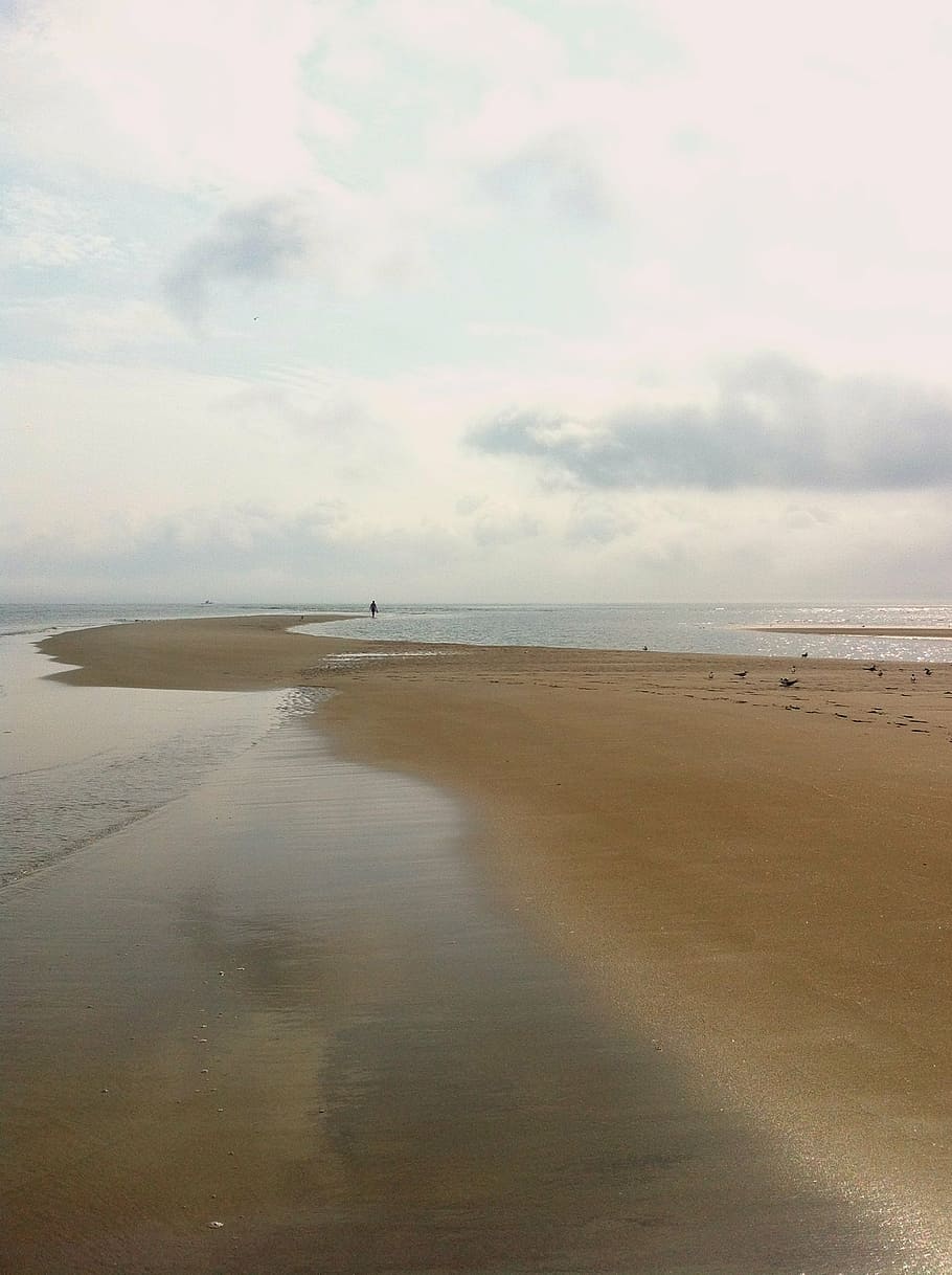 beach, sun, solitary, walking, ocean, summer, sea, nature, water, HD wallpaper