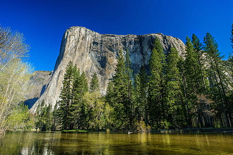 green leafed trees beside mountain during daytime, Yosemite HD wallpaper
