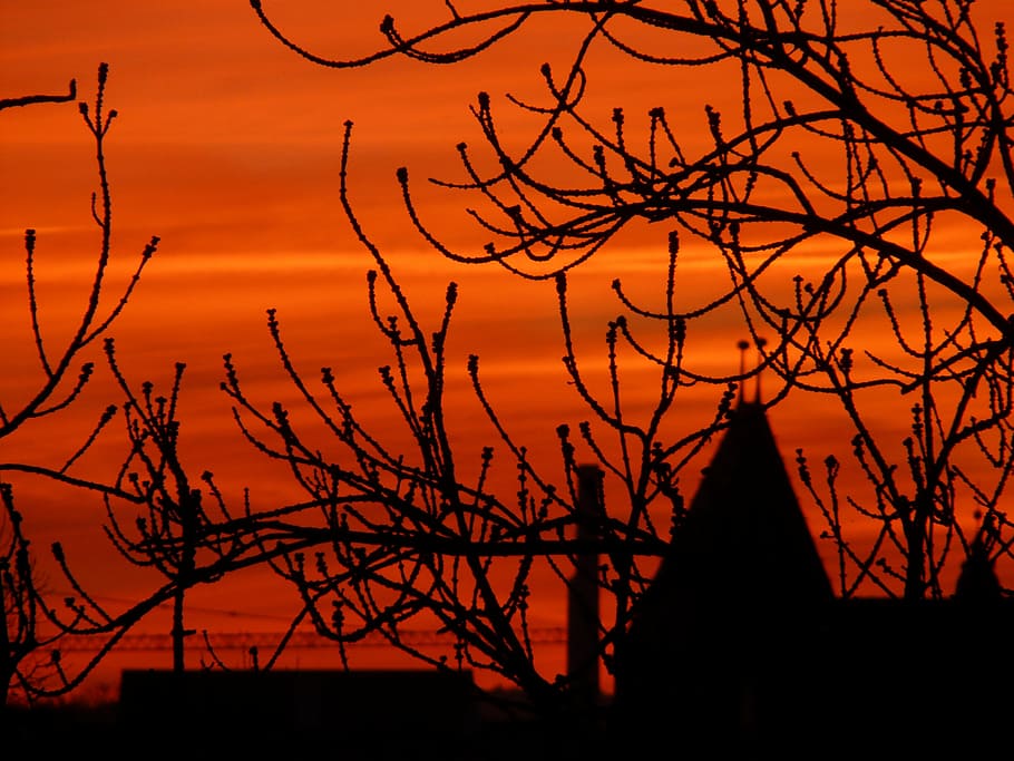sunset, afterglow, clouds, sky, love, romance, silhouette, tree HD wallpaper